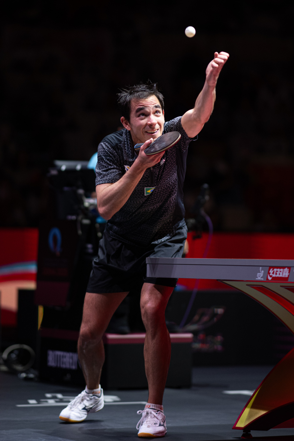 迎来了重要 迎来了重要