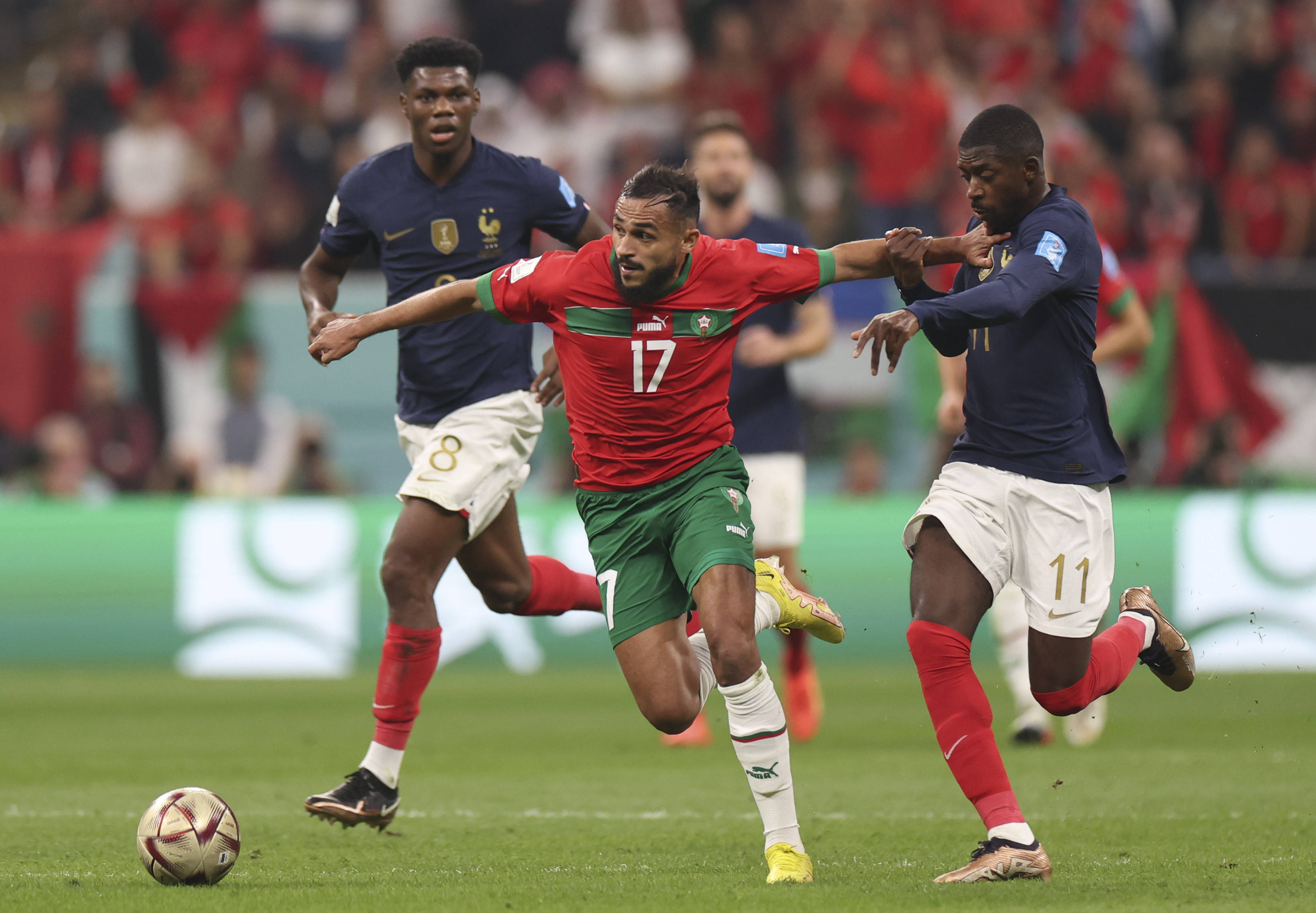 凭借稳定的 凭借稳定的